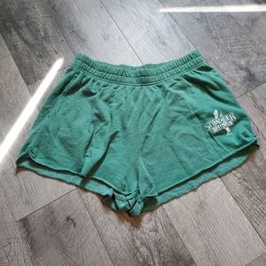 Pacsun Stranger Things green sweat shorts Size medium